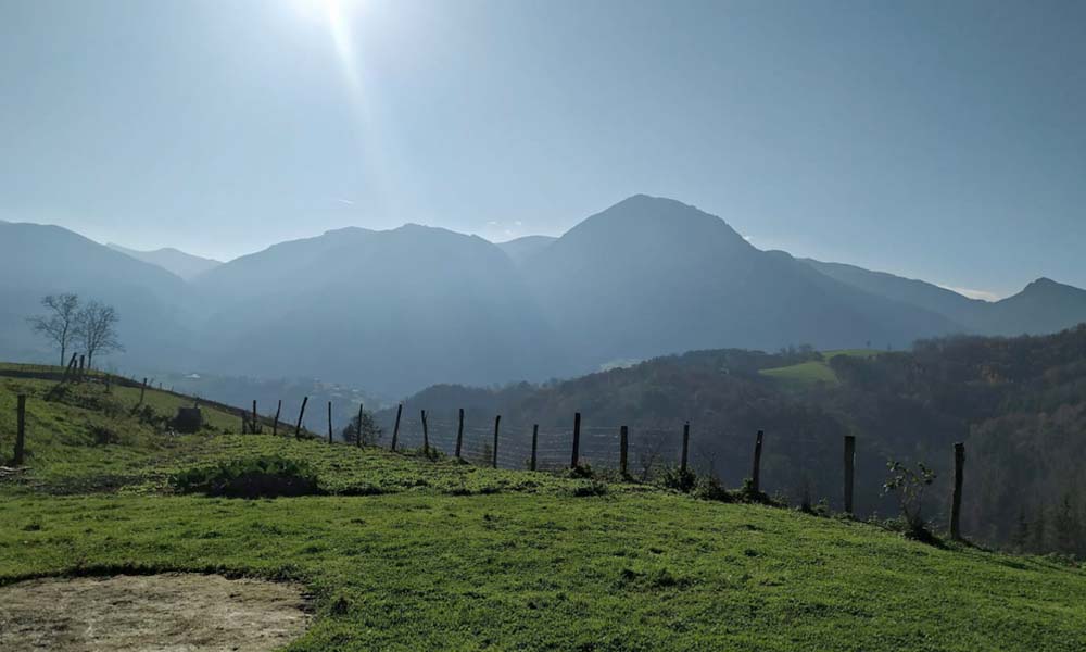 Argaia Goena - Carne de caserío - Amezketa - Gipuzkoa